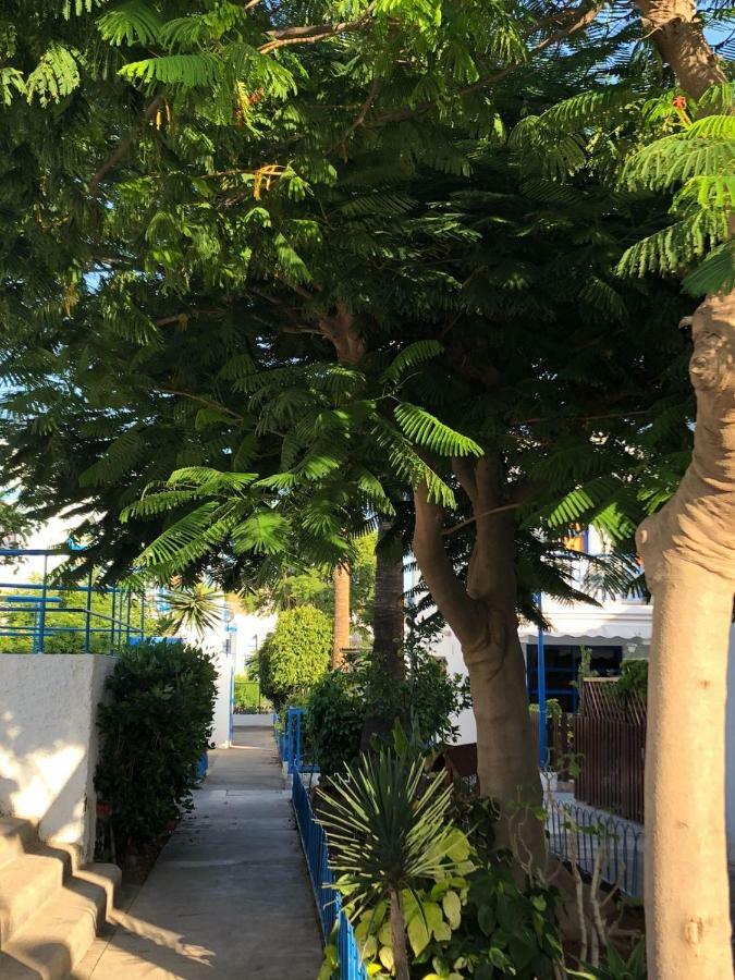 Bungalow Playmar Плая дел Инглес Екстериор снимка
